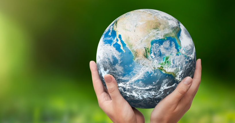 Global conservation and sustainability | Newcastle University | Policy ...